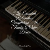 The Essential Relaxation Compilation - 50 Tracks to Calm Down