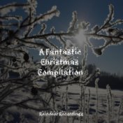 A Fantastic Christmas Compilation