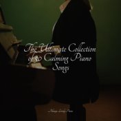 The Ultimate Collection of 50 Calming Piano Songs