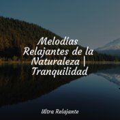 Melodías Relajantes de la Naturaleza | Tranquilidad