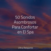 50 Sonidos Asombrosos Para Confortar en El Spa