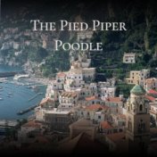 The Pied Piper Poodle