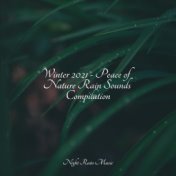 Winter 2021 - Peace of Nature Rain Sounds Compilation