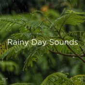 !!!" Rainy Day Sounds "!!!