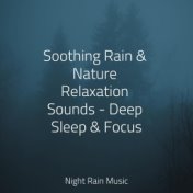 Soothing Rain & Nature Relaxation Sounds - Deep Sleep & Focus