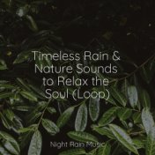 Timeless Rain & Nature Sounds to Relax the Soul (Loop)