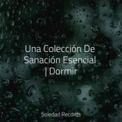 Una Colección De Sanación Esencial | Dormir