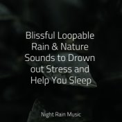 Blissful Loopable Rain & Nature Sounds to Drown out Stress and Help You Sleep