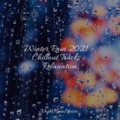 Winter Rain 2021 - Chillout Tracks - Relaxation