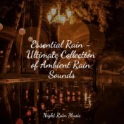 Essential Rain - Ultimate Collection of Ambient Rain Sounds