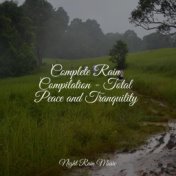 Complete Rain Compilation - Total Peace and Tranquility