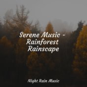 Serene Music - Rainforest Rainscape