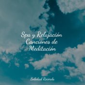 Spa y Relajación Canciones de Meditación