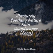 Absolutely Soothing Nature Rain Soundscapes (Loop)