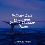 Delicate Rain Drops and Rolling Thunder - Focus