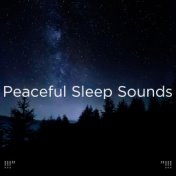 !!!" Peaceful Sleep Sounds "!!!