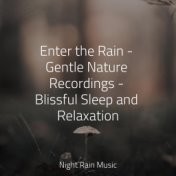 Enter the Rain - Gentle Nature Recordings - Blissful Sleep and Relaxation