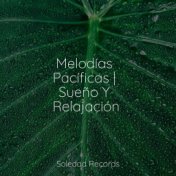 Melodías Pacíficas | Sueño Y Relajación