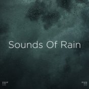 !!!" Sounds Of Rain "!!!