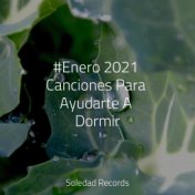 #Enero 2021 Canciones Para Ayudarte A Dormir