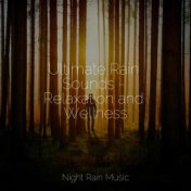 Ultimate Rain Sounds - Relaxation and Wellness