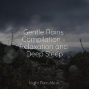 Gentle Rains Compilation - Relaxation and Deep Sleep