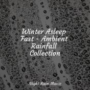 Winter Asleep Fast - Ambient Rainfall Collection