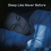 Sleep Like Never Before: New Age Music for Sleep, Beat Insomnia, Sleepy Bedtime Tunes