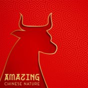 Amazing Chinese Nature - Zen Ambient Melodies Perfect for Listening While Celebrating the Chinese New Year 2021