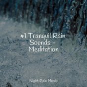 #1 Tranquil Rain Sounds - Meditation