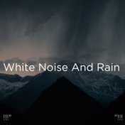 !!!" White Noise and Rain "!!!