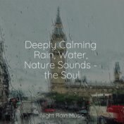 Deeply Calming Rain, Water, Nature Sounds - the Soul