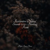 Restorative Nature Sounds 2021 - Healing Rain