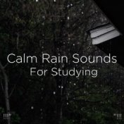 !!!" Calm Rain Sounds For Studying "!!!