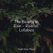 The Beauty In Rain - Rainfall Lullabies