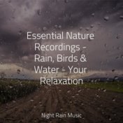 Essential Nature Recordings - Rain, Birds & Water - Your Relaxation