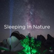 !!!" Sleeping In Nature  "!!!