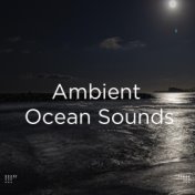 !!!" Ambient Ocean Sounds "!!!