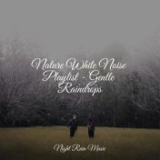 Nature White Noise Playlist - Gentle Raindrops