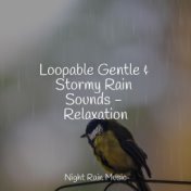 Loopable Gentle & Stormy Rain Sounds - Relaxation