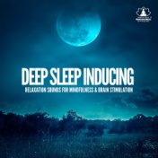 Deep Sleep Inducing (Relaxation Sounds for Mindfulness & Brain Stimulation, Reiki Koyasan)