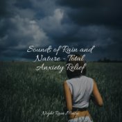 Sounds of Rain and Nature - Total Anxiety Relief