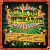 Cirkus Summarum (2009)