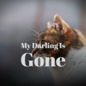 My Darling Is Gone