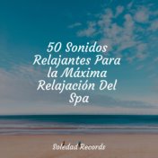 50 Sonidos Relajantes Para la Máxima Relajación Del Spa