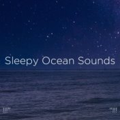 !!!" Sleepy Ocean Sounds  "!!!