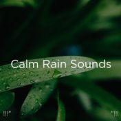 !!!" Calm Rain Sounds "!!!