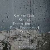 Serene Rain Sound Recordings - Rest, Peace and Study