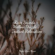 Rain Sounds - Mellow Drizzle - Instant Relaxation