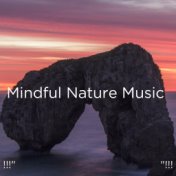 !!!" Mindful Nature Music   "!!!